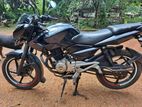 Bajaj Pulsar 135 2016