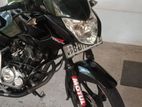 Bajaj Pulsar 135 2016