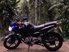 Bajaj Pulsar 135 2016