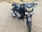 Bajaj Pulsar 135 2016