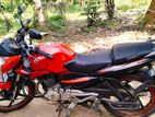 Bajaj Pulsar 135 2016