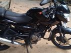 Bajaj Pulsar 135 2013