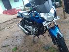 Bajaj Pulsar 135 2013