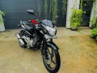 Bajaj Pulsar 135 2013
