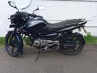 Bajaj Pulsar 135 2016