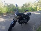 Bajaj Pulsar 135 BEK 2016