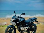 Bajaj Pulsar 135 2013
