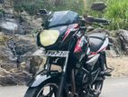 Bajaj Pulsar 135 2010
