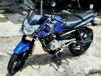 Bajaj Pulsar 135 2016