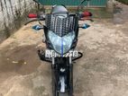 Bajaj Pulsar 135 2016