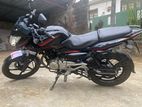 Bajaj Pulsar 135 2012