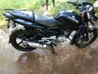 Bajaj Pulsar 135 2013