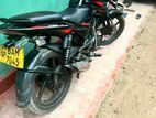 Bajaj Pulsar 135 2013