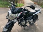 Bajaj Pulsar 135 2015