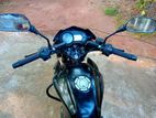 Bajaj Pulsar 135 2011