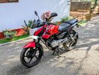 Bajaj Pulsar 135 2013