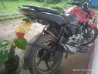 Bajaj Pulsar 135 2011