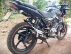 Bajaj Pulsar 135 2013