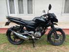 Bajaj Pulsar 135 2013