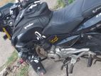 Bajaj Pulsar 135 2015