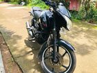 Bajaj Pulsar 135 2014