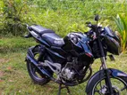 Bajaj Pulsar 135 2015