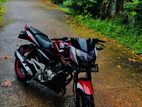 Bajaj Pulsar 135 2016