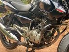 Bajaj Pulsar 135 2013