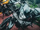 Bajaj Pulsar 135 2015