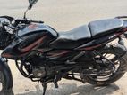 Bajaj Pulsar 135 2013