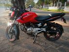 Bajaj Pulsar 135 2013