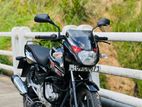 Bajaj Pulsar 150 2013
