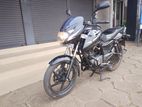Bajaj Pulsar 150 Badge model 2018