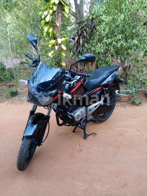 150 Red Colour Pulsar 150 Model 2011 Price Pulsar 150 Bike 150