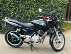 Bajaj Pulsar 150 kik salsatar 2009