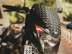 Bajaj Pulsar 150 Twin Disk 2018