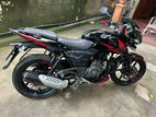 Bajaj Pulsar 150 twin disk 2019