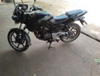 Bajaj Pulsar 200 cc 2010