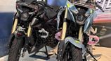 Bajaj Pulsar N160 Premium 2026