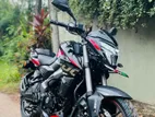 Bajaj Pulsar NS200 Brand New 2025