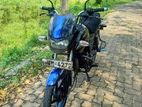 Bajaj XCD 125 2008