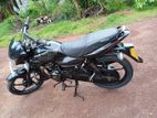 Bajaj XCD 125 2008