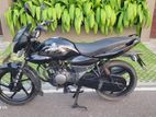 Bajaj XCD 125 2008