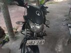 Bajaj XCD 125 2008