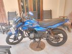 Bajaj XCD 125 2008