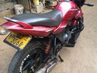 Bajaj XCD 125 2008