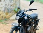 Bajaj XCD 2009