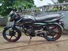 Bajaj XCD 135 2009