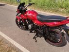 Bajaj XCD 2008