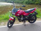 Bajaj XCD 2008